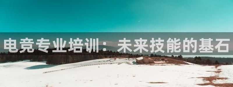 乐竞电竞平台：电竞专业培训：未来技能的基石