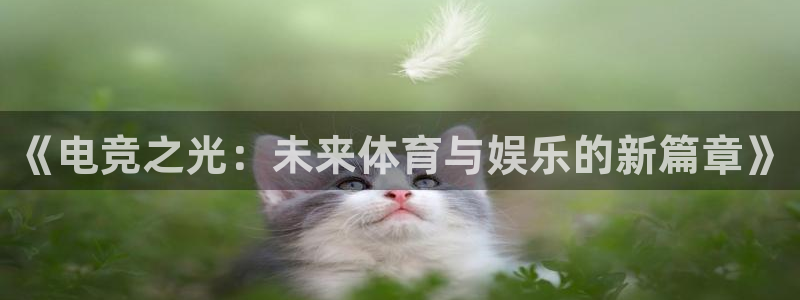 乐竞电竞app：《电竞之光：未来体育与娱乐的新篇章》