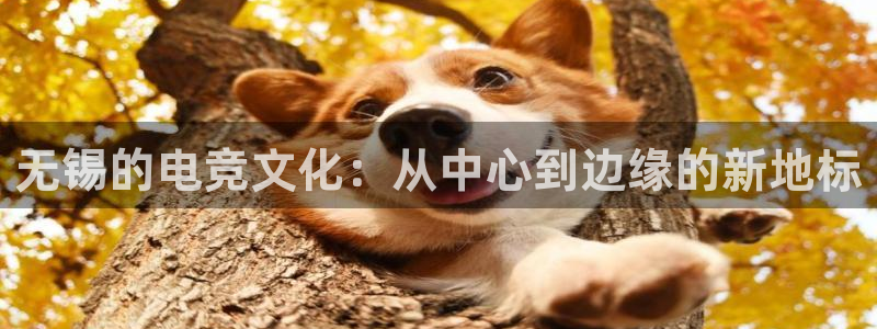 乐竞电竞官网首页：无锡的电竞文化：从中心到边缘的新地标