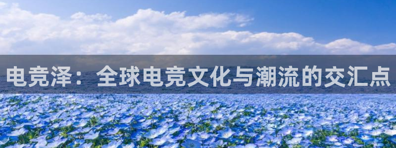 乐竞电竞app官方入口下载：电竞泽：全球电竞文化与潮流的交汇点